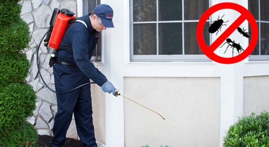 Çerkezköy Karınca İlaçlama böcek ilaçlama ve haşere kontrolü — ilaclama-tr.com